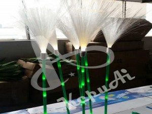 Fiber Optic Light for outdoor decoration, exterior decoration