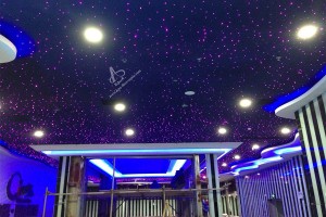 DIY 16W RGB LED fiber optic ceiling light kit with twinkle stars for home ceiling