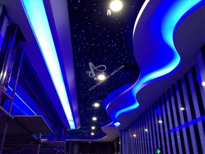 Hall decorative star ceiling fiber optics light