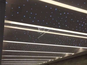 RGB Color Changeable Twinkle Stars Light LED Fiber Optic Star Ceiling Light Fibre Optic Lighting for Ceiling