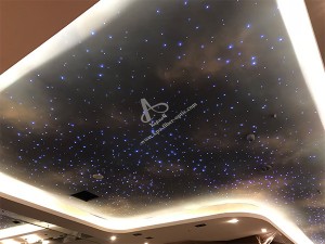 Fiber Optic Light Sky Star Ceiling Project