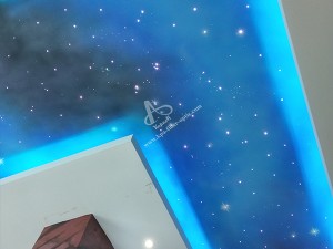 Decorative LED Fiber Optic Star Ceiling light for Hotel Lobby