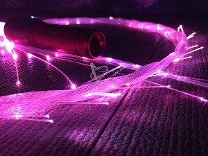 Led Fiber Optic Whip Light with End Glow Fiber Flashing Effect For Dancing