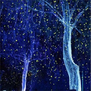 Fiber Optic Mesh Light for Outdoor Tree Lighting Decor 1m and 4m optional or Custom Size